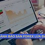 Các Sàn Giao Dịch Forex Lừa Đảo