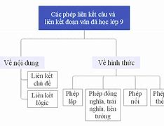 Chương Trình Liên Kết Văn Lang