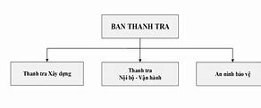 Cơ Cấu Tổ Chức Thanh Tra