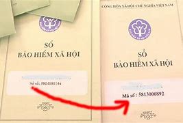 Mã Số Bảo Hiểm Xã Hội Là Số Nào