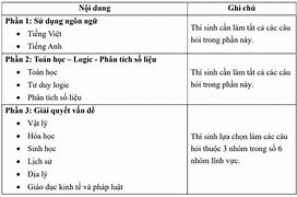 Thi Đánh Giá Năng Lực 2025 Gồm Mấy Môn